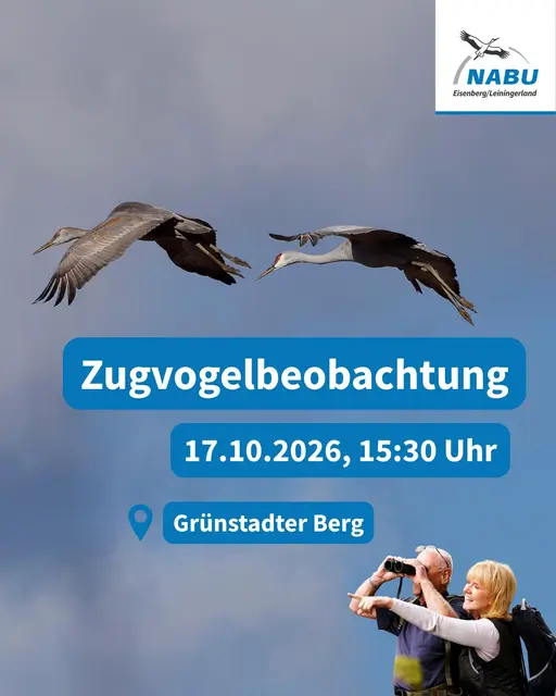 Foto: NABU Eisenbeg/Leiningerland