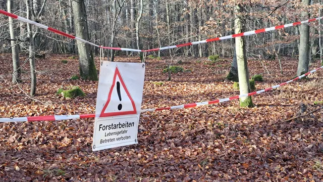 Absperrungen im Stadtwald am Betzenberg: Spaziergängerinnen und Spaziergänger müssen vorübergehend auf andere Wege ausweichen (Symbolfoto) | Foto: Monika Klein