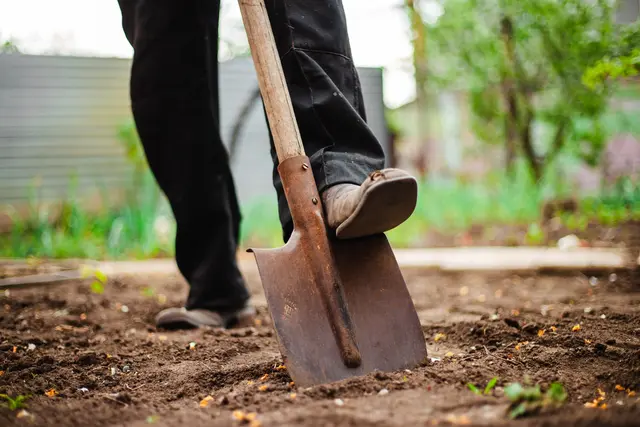 Unbekannte haben im Asternweg in Kaiserslautern den Gemüsegarten eines Kindergartens verwüstet und Schäden an Tür, Fenster, Gartenmöbeln und Geräten angerichtet. Die Polizei sucht Zeugen nach dem Vandalismus im Kita-Garten. (Symbolfoto) | Foto: Konstantin Zibert/stock.adobe.com