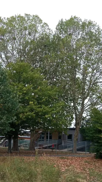 Foto: Gemeinde