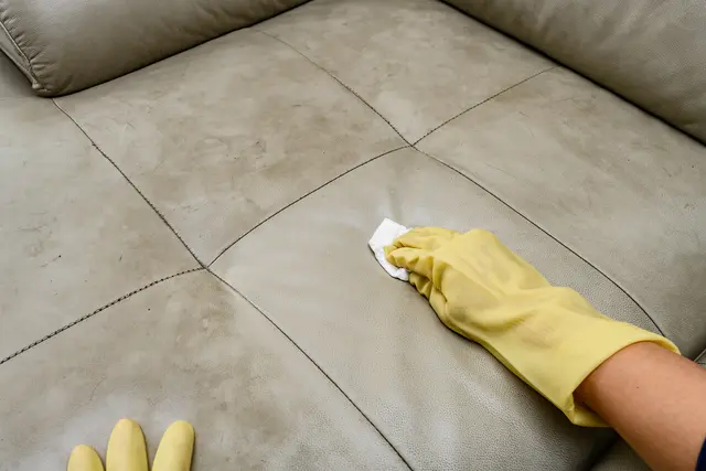 Ledersofas sollte man immer großflächig reinigen, damit es nicht zu Farbunterschieden kommt. | Foto: Freer/stock.adobe.com