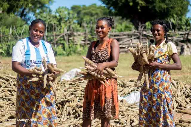 WDR 2 Weihnachtswunder: Eine Maniok-Ernte in Madagaskar steht sinnbildlich für Projekte, die durch Spenden unterstützt werden. | Foto: Aktion Deutschland Hilft e.V., Foto: ADRA
