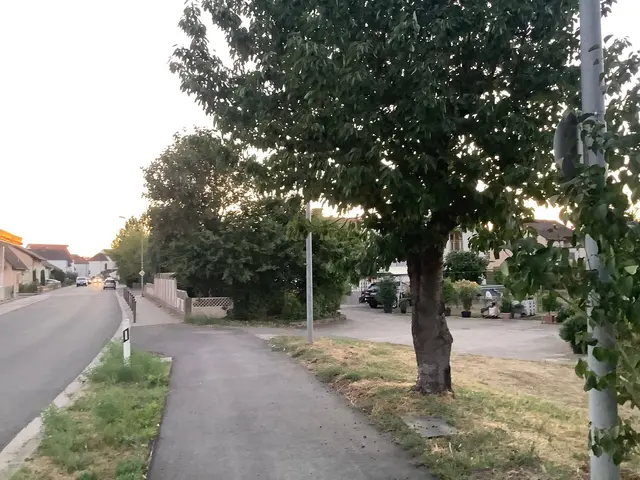 Radwegende ohne Ausleitung - nicht ungefährlich | Foto: J. Meichßner ADFC