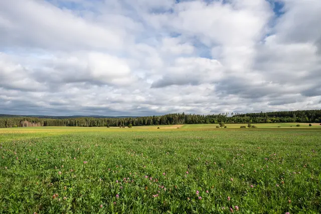 Am Sonntag ziehen in Südwesten Regenwolken auf, ab Montag wird es wieder freundlicher. (Symbolbild) | Foto: Silas Stein/dpa