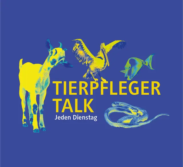 Tierpfleger Talk - immer wieder dienstags
