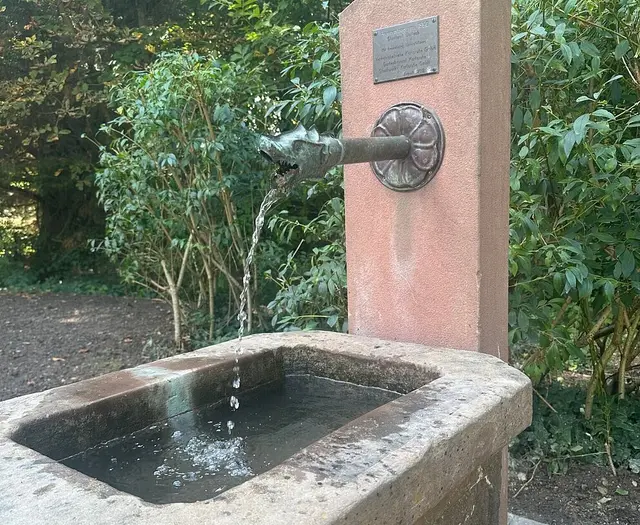 Gerettete Brunnen sind im Ort wieder sichtbar, wenn sie nach Bauarbeiten an einem neuen Platz weiter sprudeln. | Foto: Jasmin Bagoglu