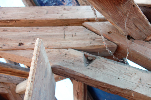 An dem 300 Jahre alten Dachstuhl des Bürgerhauses Schlierbach hat der Zahn der Zeit sichtbar genagt. Gut zu sehen sind die sogenannten Floßaugen in den Dachbalken – sie zeigen, dass die Baumstämme einst per Floß nach Heidelberg transportiert wurden. Die Sanierung am Bürgerhaus Schlierbach läuft weiter. Als nächstes stehen Arbeiten am Dach und am historischen Dachstuhl an. | Foto: Bürgerhaus Schlierbach