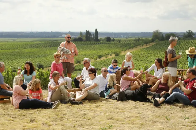 Weinwandern mit Genuss: 18 Stationen erwarten die Besucher rund um Freinsheim.  | Foto: Melanie Hubach Photographie/gratis