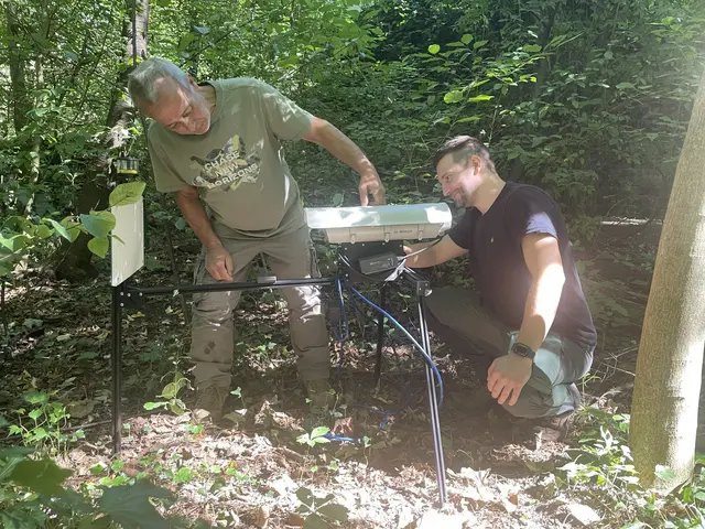 Klaus Eisele (links) und Levin Hecke (beide ORBEA) warten im Maudacher Bruch ein Überwachungsgerät für bestimmte Insekten. ORBEA Ludwigshafen beteiligt sich am bundesweiten Umweltforschungsprojekt Lepidoptera Monitoring (LEPMON), das sich der automatisierten Erfassung nachtaktiver Insekten widmet. Lepidoptera bezeichnet die wissenschaftliche Ordnung der Schmetterlinge, zu denen auch Nachtfalter gehören. Ziel der Kooperation ist es, mithilfe moderner Kameratechnologie und künstlicher Intelligenz die Artenvielfalt von Nachtfaltern in der Region systematisch zu erfassen und wissenschaftlich auszuwerten. | Foto: ORBEA 