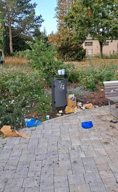 Foto: Stadtverwaltung Schifferstadt