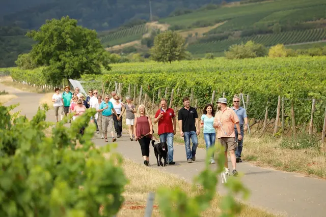 Die Kulinarische Weinwanderung Freinsheim findet 2026 vom 25. bis 27. September statt. | Foto: Melanie Hubach Photographie