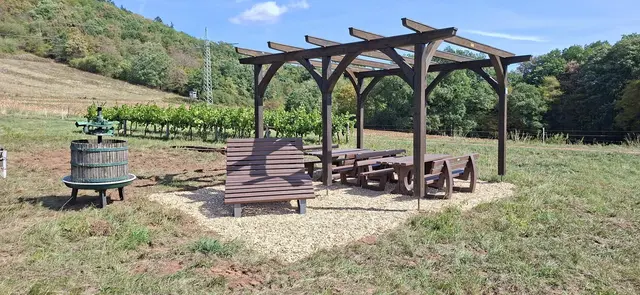 Am Burgunderweg in den Gräfenhausener Weinbergen gibt es wieder eine erneuerte Sitzgruppe für eine Pause unterwegs. | Foto: Interessengemeinschaft Gräfenhausen