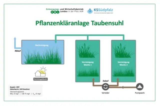 Am Taubensuhl öffnet der EWL am Wochenende seine Pflanzenkläranlage für Besucherinnen und Besucher. | Foto: EWL