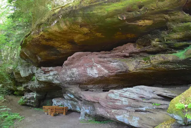 Im Herbst laden die Pirminius Wander- und Erlebnistage zu Touren rund um Pirmasens ein. | Foto: Stadt Pirmasens