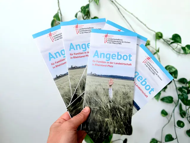 Hand hält mehrere Infoflyer, diese sind im Link zur Homepage aufrufbar und als pdf vorlesbar