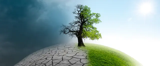 Der Klimawandel verändert unsere Umwelt / Symbolbild | Foto: by-studio/stock.adobe.com
