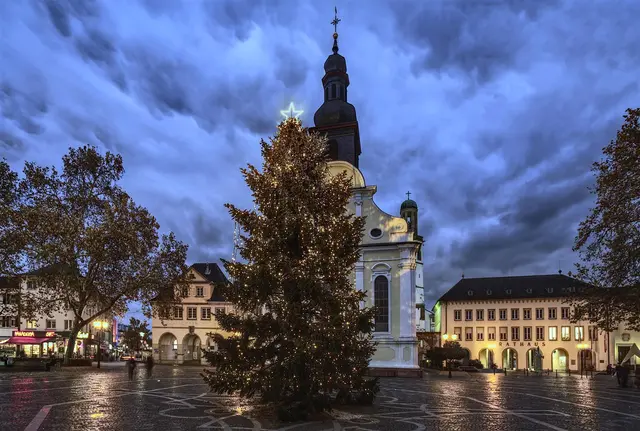 Die Stadtverwaltung Frankenthal sucht eine Tanne oder Fichte als Weihnachtsbaum für den Rathausplatz. | Foto: Stadtverwaltung Frankenthal (Pfalz) Pressestelle