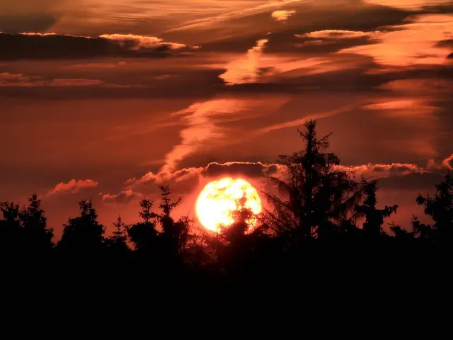 Am letzten Septemberwochenende gibt es rund um Baumholder zwei geführte Wanderangebote mit besonderer Atmosphäre. | Foto: Kurt Jenet