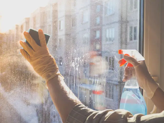 Die tief stehende Herbstsonne macht Schlieren, Staub und Sommerreste auf Fensterscheiben besonders sichtbar – jetzt lohnt sich eine gründliche Reinigung. | Foto: sablinstanislav/stock.adobe.com