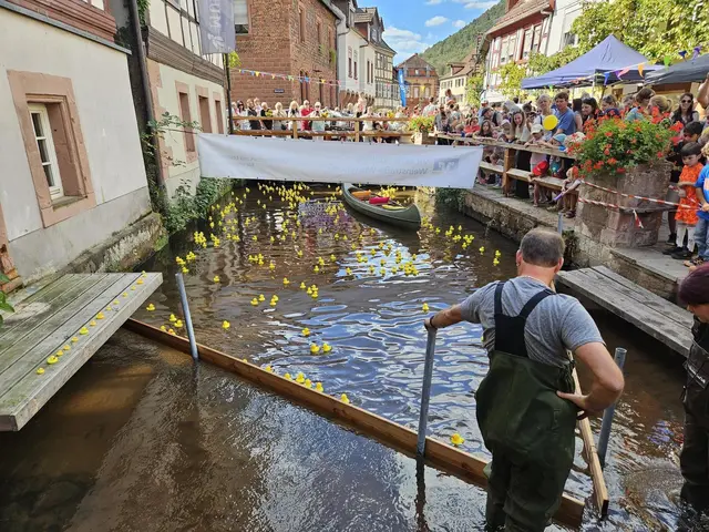 Beim Entenrennen der Kita Kunterbunt in Annweiler gingen 563 gelbe Rennenten in der Queich an den Start. | Foto: Kita Kunterbunt