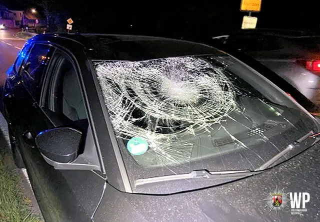 Schwerer Fahrradunfall in Kaiserslautern: Ein 28 Jahre alter E-Bike-Fahrer wurde im Bereich Galappmühler Straße/Neue Straße von einem Auto erfasst und schwer verletzt. Polizei und Rettungsdienst waren im Einsatz. | Foto: Polizeipräsidium Westpfalz