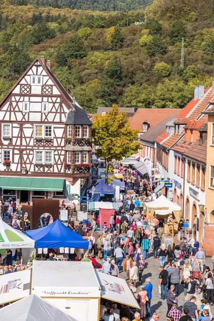 Beim Keschdefeschd in Annweiler dreht sich alles um die Esskastanie. | Foto: Verein SÜW Annweiler am Trifels, TIZIE Photographie