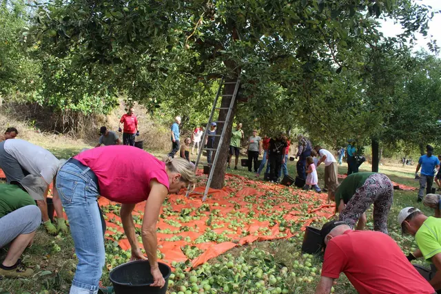 Eine Streuobstwiese bietet vielen Tieren und Pflanzen Lebensraum. | Foto: NVS