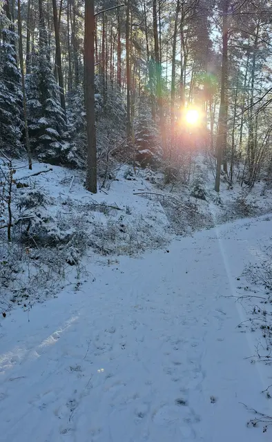Winterliche Idylle mit Fragezeichen: „Schnee von Morgen“ erzählt von einer Welt, in der die vertrauten Jahreszeiten durcheinandergeraten. (Symbolbild) | Foto: Monika Klein