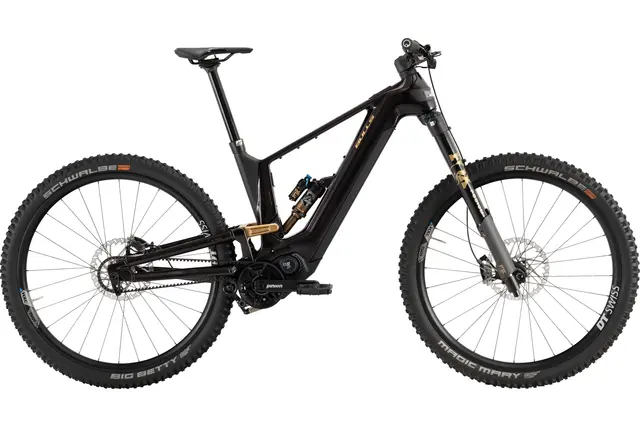 Ein hochwertiges E-Mountainbike im Wert von 10.000 Euro wurde in Pirmasens aus einem Fahrradgeschäft gestohlen. Die Polizei sucht nach dem Täter und bittet Zeugen um Hinweise. | Foto: Polizeidirektion Pirmasens