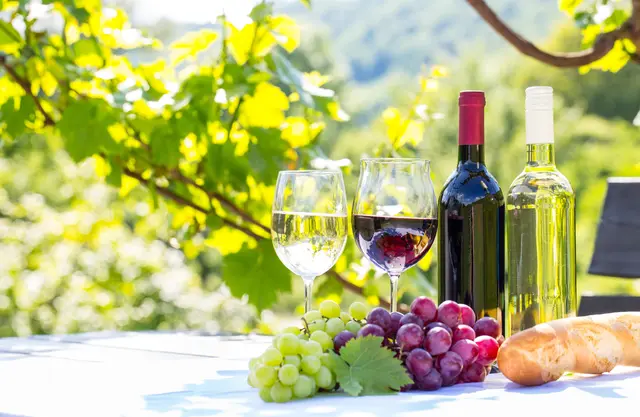 Gesunde Trauben trotz trockener Bedingungen: In Ilbesheim beraten Fachleute über den neuen Weinjahrgang. | Foto: drubig photo/stock.adobe.com