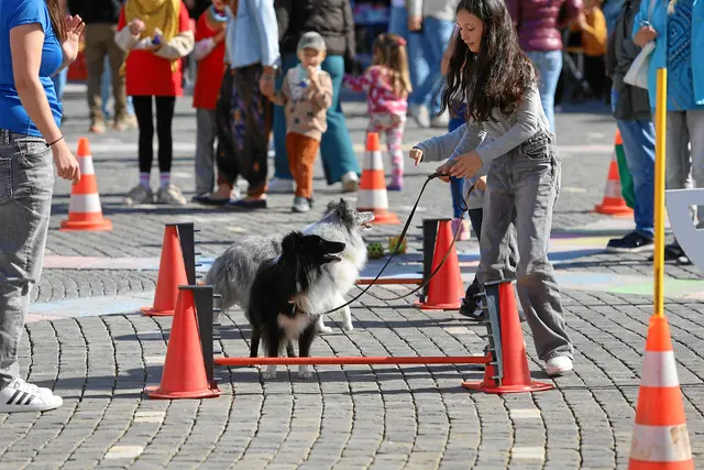 Foto: Norbert Scharf