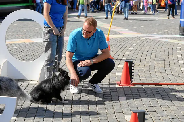Foto: Norbert Scharf