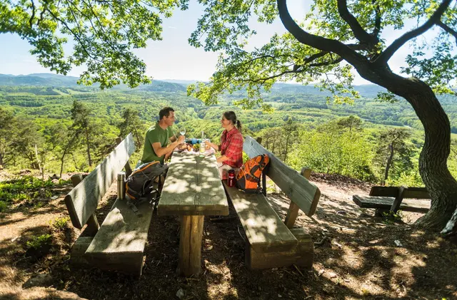Mehr als 500 Kilometer markierte Wanderwege gibt es im Trifelsland. | Foto: Pfalz-Touristik e.V., Dominik Ketz