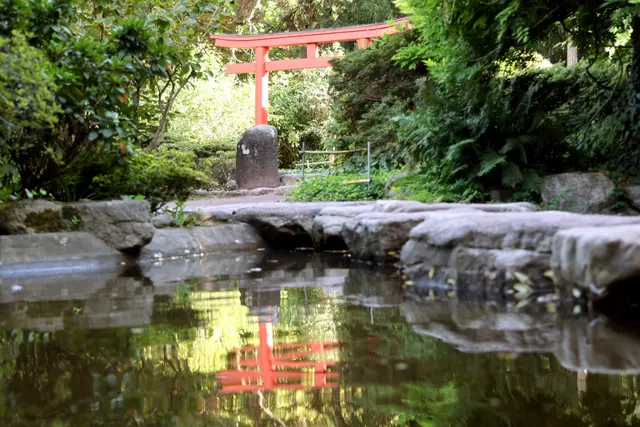 Japangarten: Wissenswertes vom Experten
