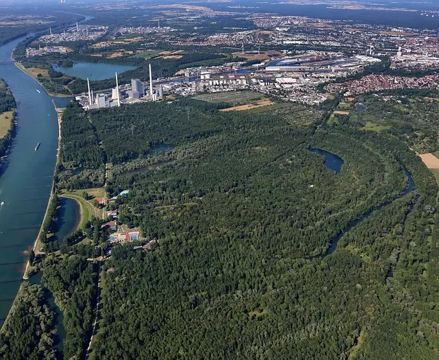 Ein Park als Naherholungsziel. Genau solche Grünräume standen schon früh im Fokus der Karlsruher Stadtplanung. | Foto: Stadt Karlsruhe, Roland Fränkle