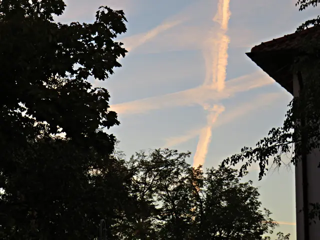 Viel los am Himmel | Foto: Brigitte Melder