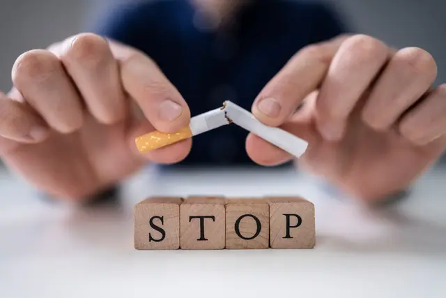 Passivrauchen in Innenräumen belastet Haustiere, weil Rauch und Rückstände an Fell, Möbeln und Kleidung haften bleiben. Rauchfreie Räume senken diese Alltagsbelastung. | Foto: Andrey Popov/stock.adobe.com