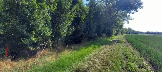 In Mannheimer Schutzgebieten laufen im Oktober und bis Mitte November Pflegearbeiten, unter anderem an Amphibiengewässern. | Foto: Stadt Mannheim