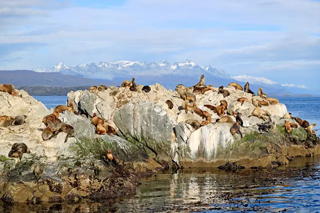 Südamerika Kreuzfahrt: Feuerland und Patagonien begeistern mit unberührter Natur, rauen Küsten und beeindruckenden Bergpanoramen. | Foto: stock.adobe.com/jobi_pro 