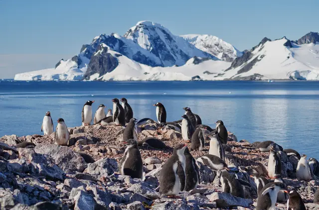 Auf dem Weg rund um Kap Hoorn führt die Reise in eine der abgelegensten und faszinierendsten Regionen der Erde. | Foto: stock.adobe.com/hrathke