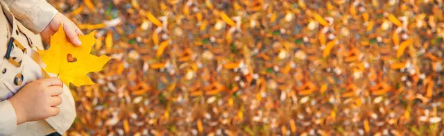 Wer ohne Plastik dekorieren will, kann beim Workshop einen Herbstkranz aus Naturmaterialien basteln. / Herbst Symbolbild | Foto: yanadjan/stock.adobe.com