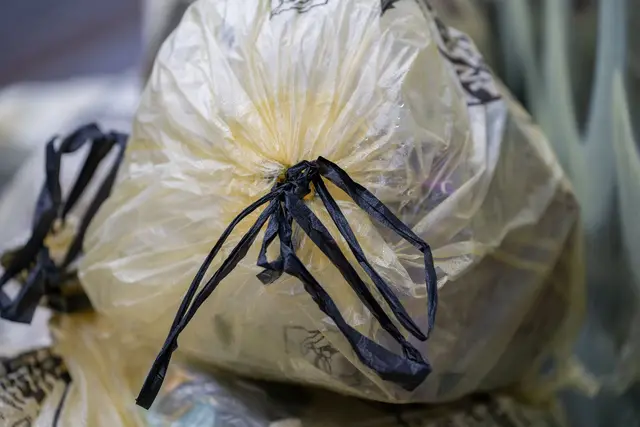 In einem gelben Sack sind Spraydosen explodiert. (Symbolbild) | Foto: Harald Tittel/dpa