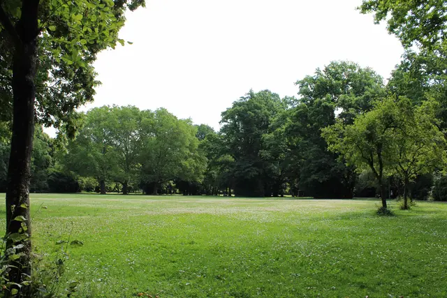 Großflächige Rasenflächen kennzeichnen den Volkspark | Foto: Monika Klein