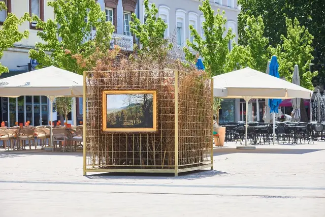 Das Kunstprojekt „Klima – Wald – Kubus“ macht auf dem Juliusplatz die Folgen des Klimawandels für den Wald sichtbar. | Foto: Thomas Brenner
