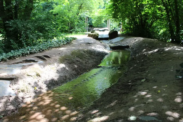 Lädt zu Wasserspielen ein: der Bachlauf | Foto: Monika Klein