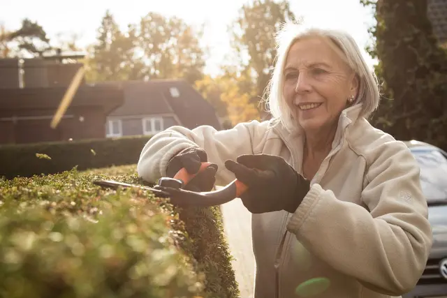 Ran an die Schere: Im Herbst können Gehölze ausgelichtet und von abgestorbenen Zweigen befreit werden. | Foto: Christin Klose/dpa-mag
