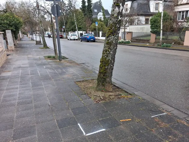 An heißen Tagen zählt jeder zusätzliche Schattenplatz. Landau will dafür im Straßenraum Flächen entsiegeln und begrünen. | Foto: Stadt Landau