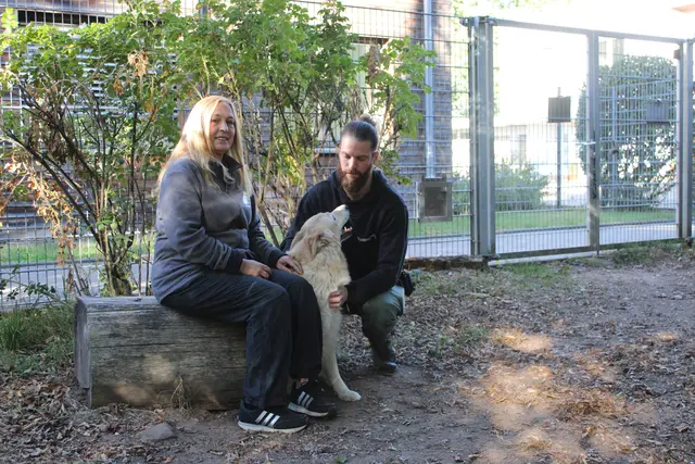 Hundetrainerin Manuela Habermann (links) und Lukas Walter, Geschäftsführer des Tierheims, mit Pino im Schnüffelgarten. Der Vierbeiner hat durch das Huko-Projekt so gute Fortschritte gemacht, dass er für die Vermittlung bereit ist | Foto: Monika Klein