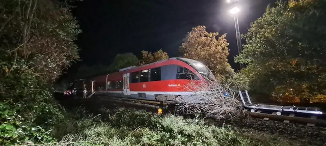 Feuerwehr und Rettungsdienst trainieren nachts die Rettung von 16 Verletzten aus einem Regionalzug. | Foto: Freiwillige Feuerwehr Verbandsgemeinde Kusel-Altenglan