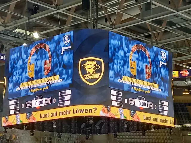 Audio-Deskription bei den Rhein-Neckar Löwen in der SAP-Arena | Foto: Team Audiodeskription
